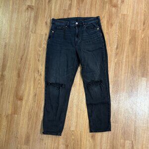 American Eagle Strigid Ripped Mom Jean Destroyed Black